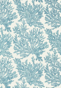 Фото Thibaut Tropics T10122