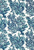 Фото Thibaut Tropics T10124