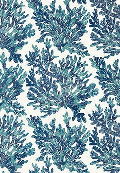 Фото Thibaut Tropics T10124