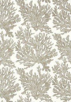 Фото Thibaut Tropics T10140