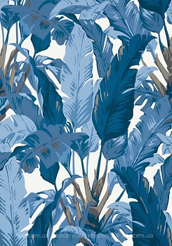 Фото Thibaut Tropics T10126