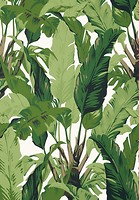 Фото Thibaut Tropics T10127