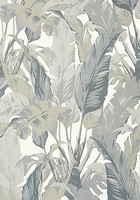 Фото Thibaut Tropics T10129