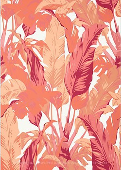 Фото Thibaut Tropics T10130