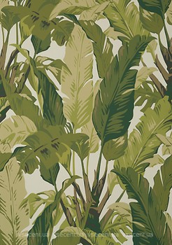 Фото Thibaut Tropics T10131