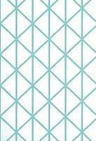 Фото Thibaut Tropics T10132