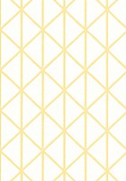 Фото Thibaut Tropics T10136