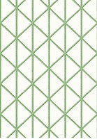 Фото Thibaut Tropics T10138