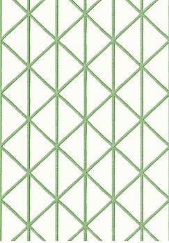 Фото Thibaut Tropics T10138