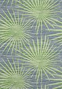 Фото Thibaut Tropics T10141