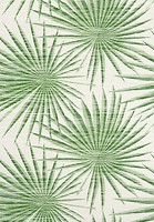 Фото Thibaut Tropics T10142