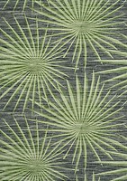 Фото Thibaut Tropics T10143