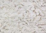 Фото Zinc Cazenove ZW137-02