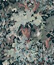 Фото Coordonne Maximalism 9300002