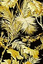 Фото Coordonne Metamorphosis 8800005