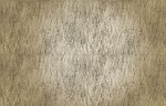 Фото Texam Oxid ox232