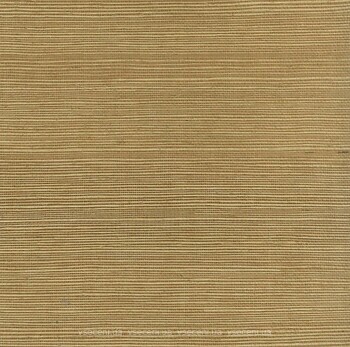 Фото Paper & Ink Pure Elements SY21805