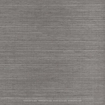 Фото Paper & Ink Pure Elements SY21807