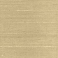 Фото Paper & Ink Pure Elements SY21813