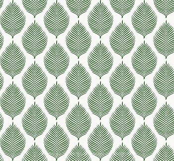 Фото Paper & Ink Pure Elements SY21304
