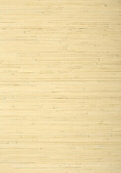 Фото Thibaut Grasscloth Resource 5 T24065