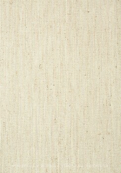 Фото Thibaut Grasscloth Resource 5 T24103