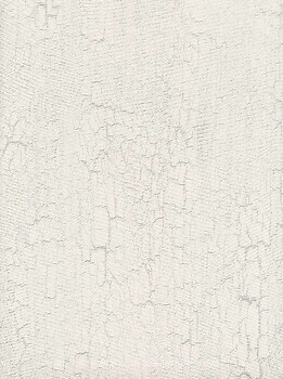 Фото Roberto Cavalli Home №5 RC16020