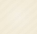 Фото Texam Shine SH31