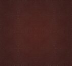 Фото Texam Shine SH54