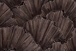 Фото Rasch Emil & Hugo Moana 300900