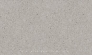 Фото Rasch Concrete XL 974249