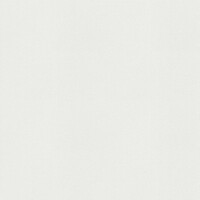 Фото Rasch Wallton 127300