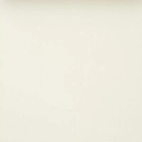 Фото Rasch Sintra Paint It 699997