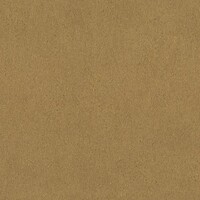 Фото Rasch African Queen III 751031