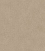 Фото Rasch African Queen III 751055