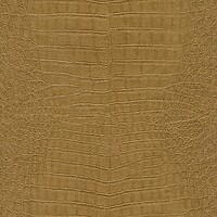Фото Rasch African Queen III 751369