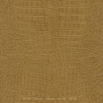 Фото Rasch African Queen III 751369