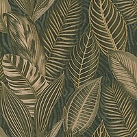 Фото Rasch African Queen III 751826