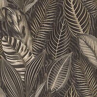 Фото Rasch African Queen III 751833