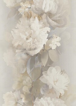 Фото Erismann Aurora 12243-37