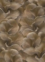 Фото Erismann Fashion for Walls 5 12255-11