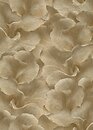 Фото Erismann Fashion for Walls 5 12255-30