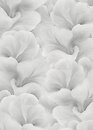 Фото Erismann Fashion for Walls 5 12255-31