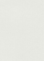 Фото Erismann Fashion for Walls 5 12257-01