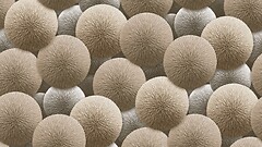 Фото Rasch Sintra Silvia 252505