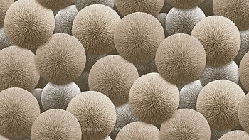 Фото Rasch Sintra Silvia 252505