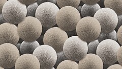 Фото Rasch Sintra Silvia 252536