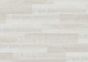 Фото Wineo 400 Wood Dream Pine Light (DLC00105)