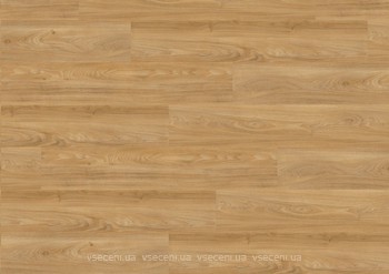 Фото Wineo 400 Wood Summer Oak Golden (DLC00118)