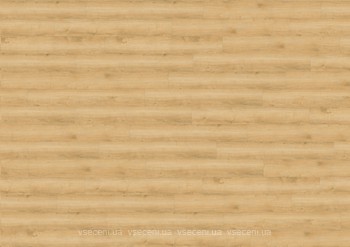 Фото Wineo 800 Wood Wheat Golden Oak (DB00080)